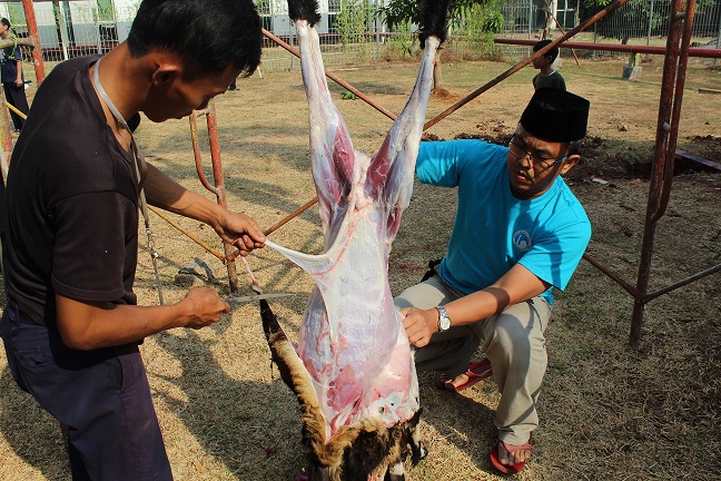 Idul Adha 1440 H Sekolah Islam Al Azhar Summarecon Serpong